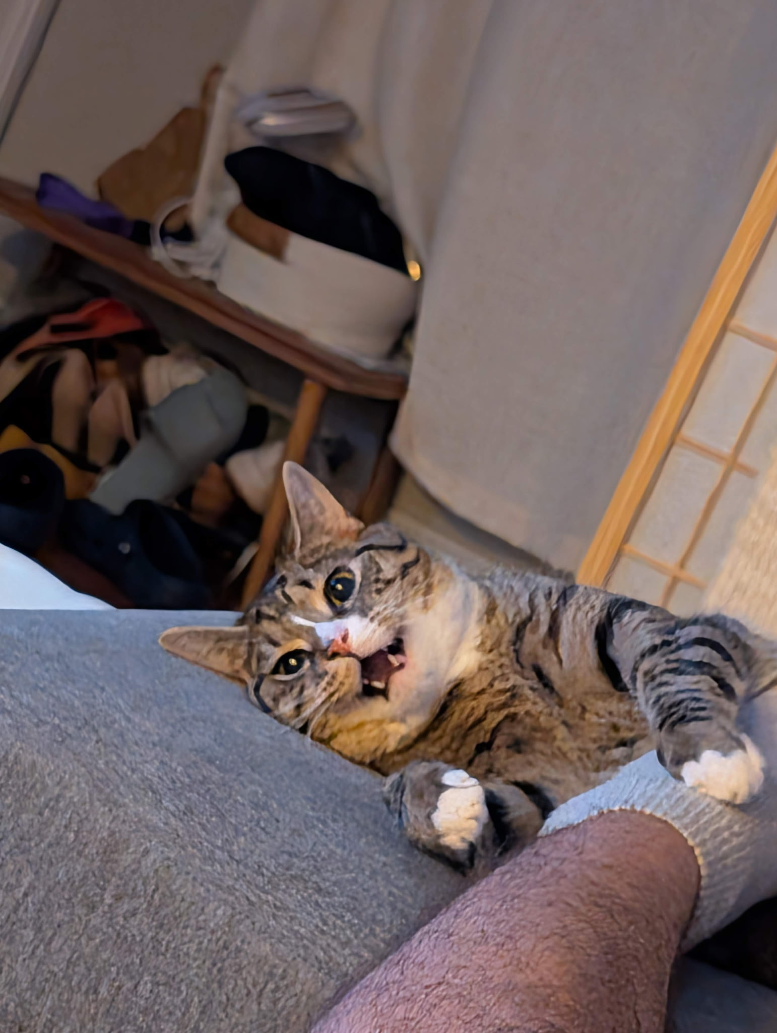 Mr. President portrait 1